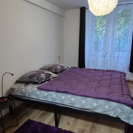 Le Sapin - Gite Appartement 2 Pers * Grandfontaine (Bas-Rhin)