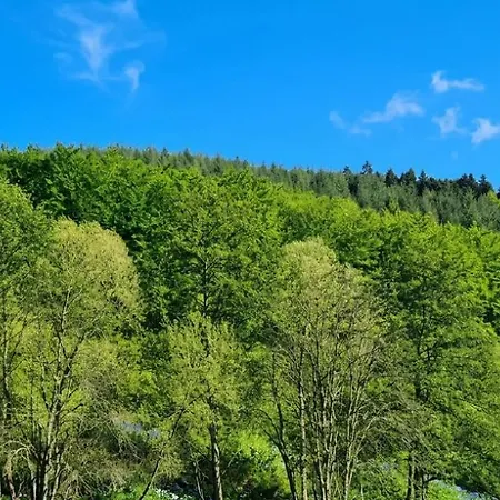 Ladijean - D'hôtes - Alsace Maison d'hôtes *