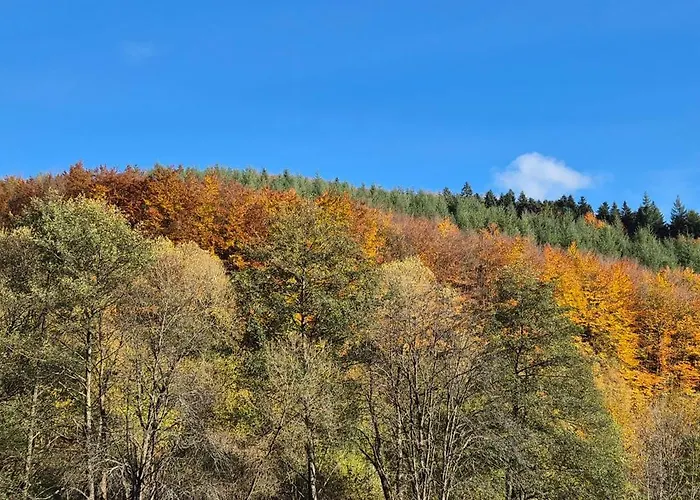 Ladijean - D'hotes - Alsace Penzion Grandfontaine (Bas-Rhin)
